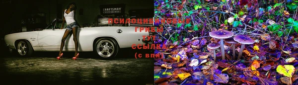 винт Покров