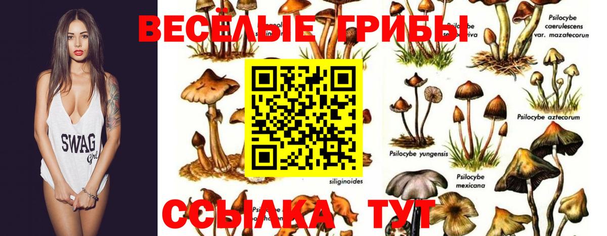 Псилоцибиновые грибы Psilocybine cubensis  Вход с VPN  Псилоцибиновые грибы ЛСД  где можно купить   Балахна 